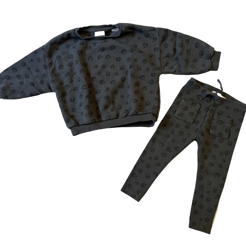 Zara Baby Girl 2 Piece Set 18-24M